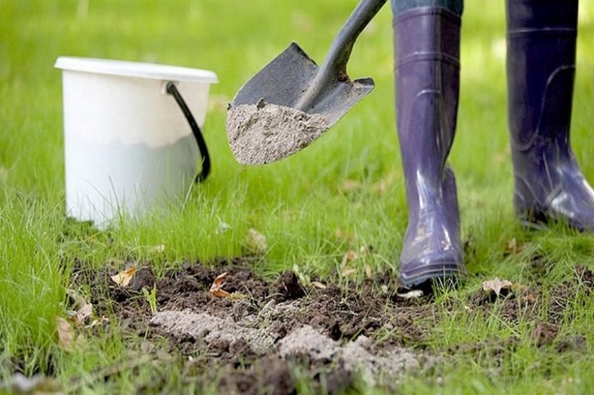 Внесення вапна в грунт