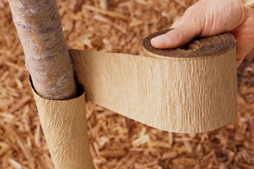 Захист від похолодань