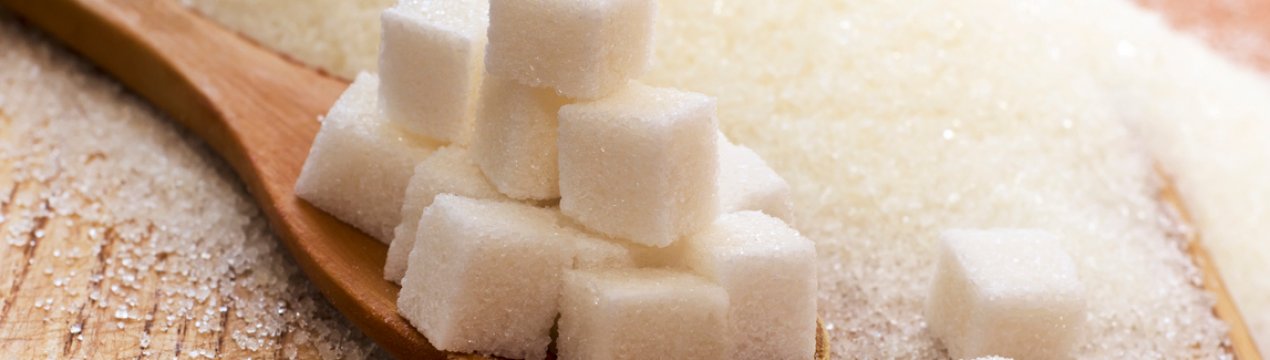 Гнідавський цукровий завод почав переговори з постачальниками сировини