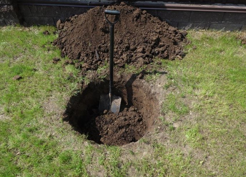 Підготовка ями до посадки черешні