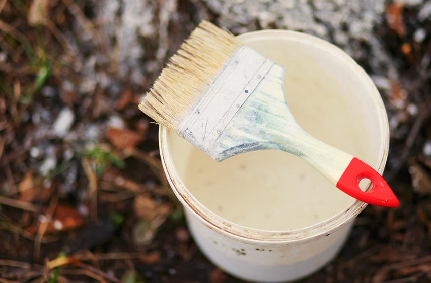 Побілка черешні