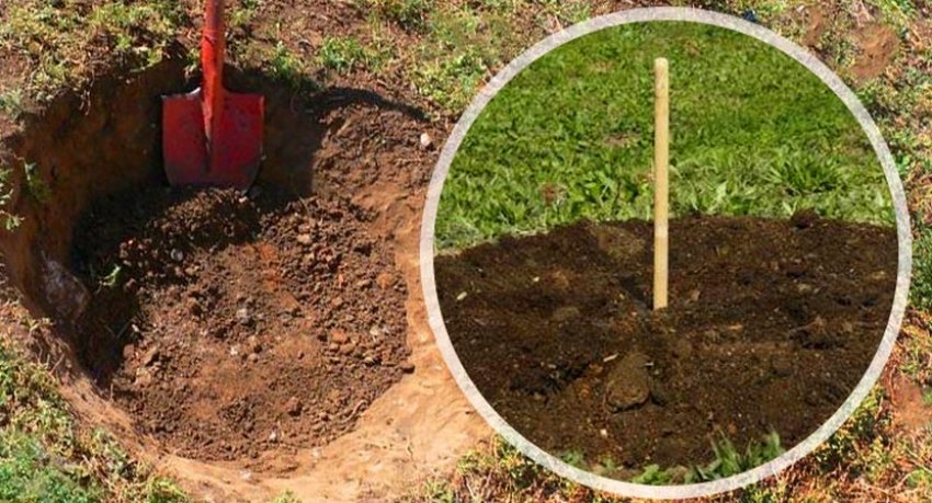 Посадкова яма Посадкова яма