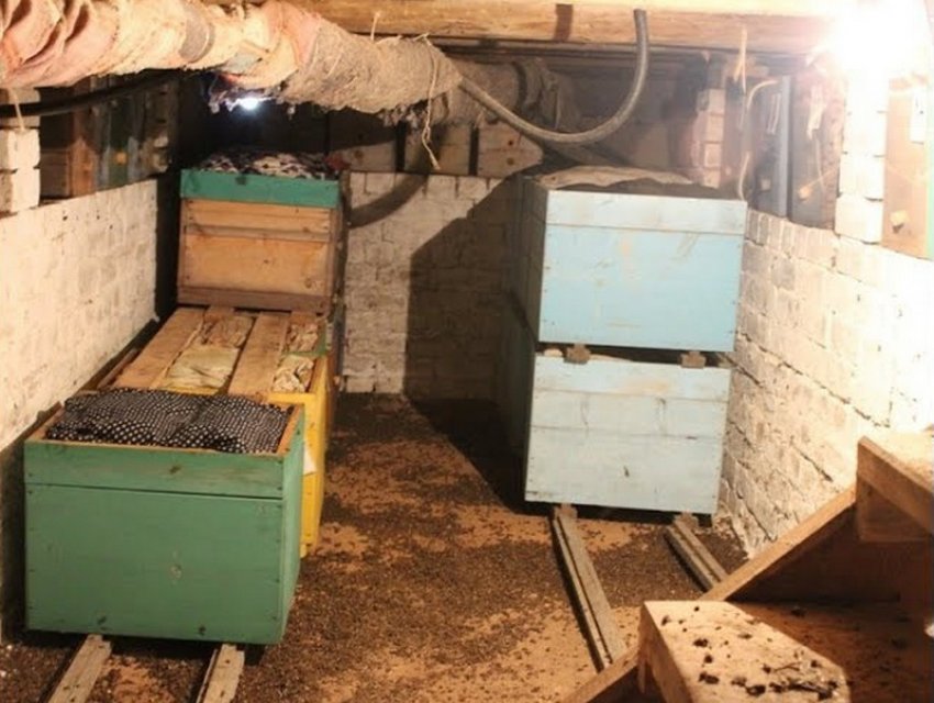 Зимівля бджіл у підвалі