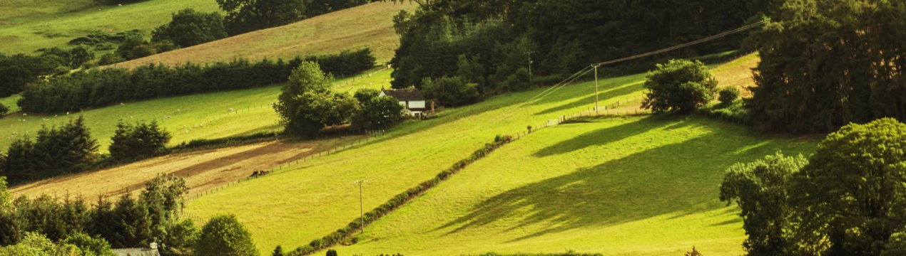 Сільський туризм в Росії виведуть на ультрановый рівень?
