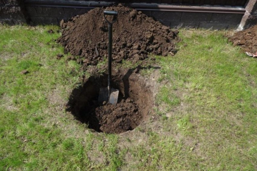 Підготовка посадкової ями