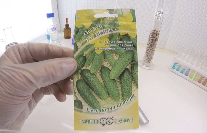 Насіння огірка Ліліпут Насіння огірка Ліліпут