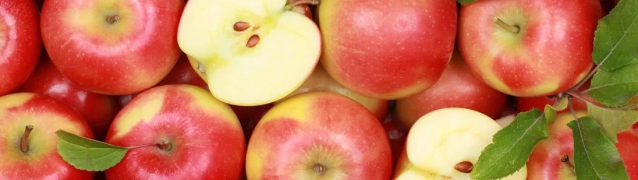 Будова та опис яблуні