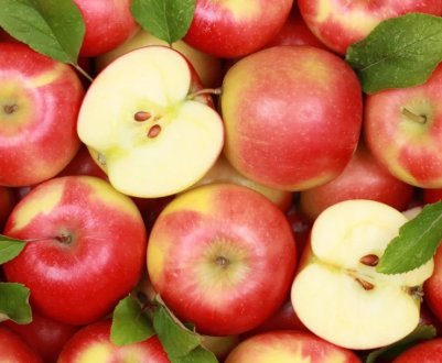 Будова та опис яблуні