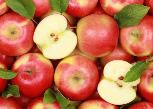 Будова та опис яблуні