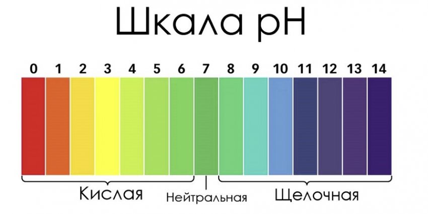 Шкала кислотності грунту Шкала кислотності грунту