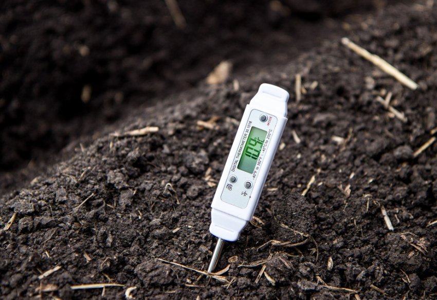 Вимір температури ґрунту