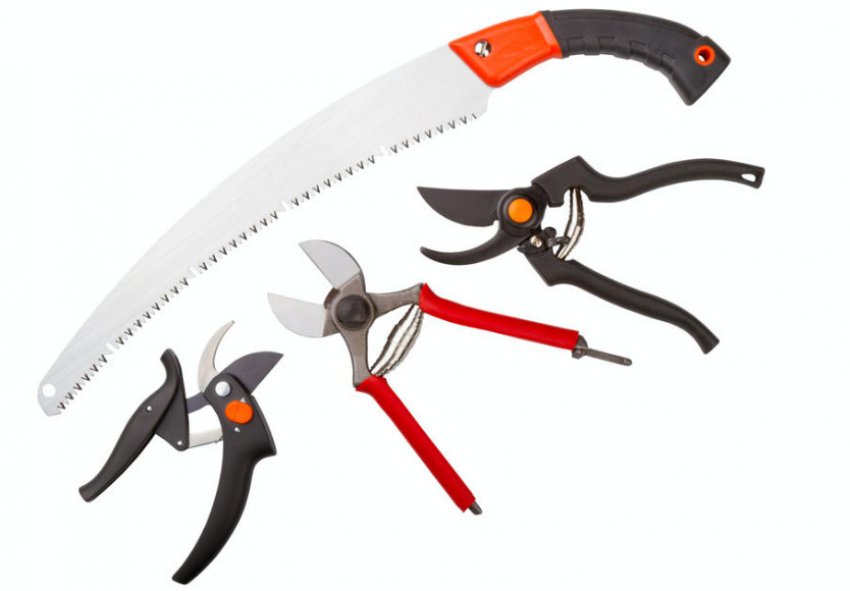 Інструменти для обрізки дерев