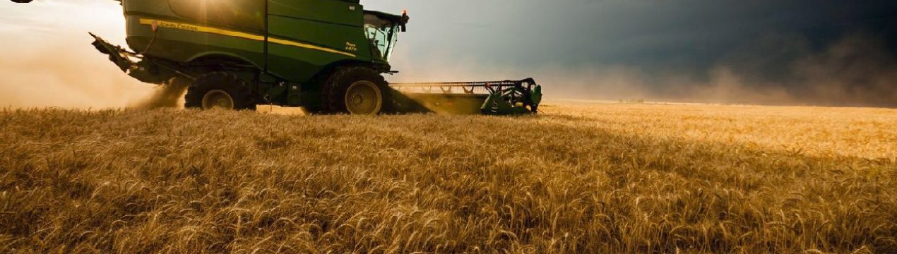 Ірландське сільське господарство «не повинно бути довгостроковим невдахою Brexit»