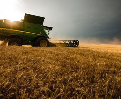 Ірландське сільське господарство «не повинно бути довгостроковим невдахою Brexit»