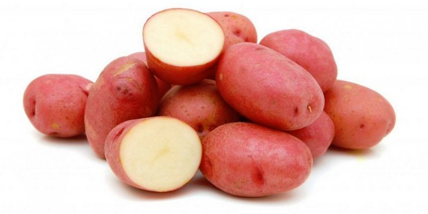 Картопля Альона