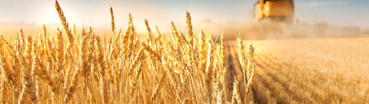 Члени Європарламенту голосують за реформу сільськогосподарської політики ЄС