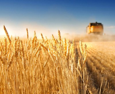 Члени Європарламенту голосують за реформу сільськогосподарської політики ЄС