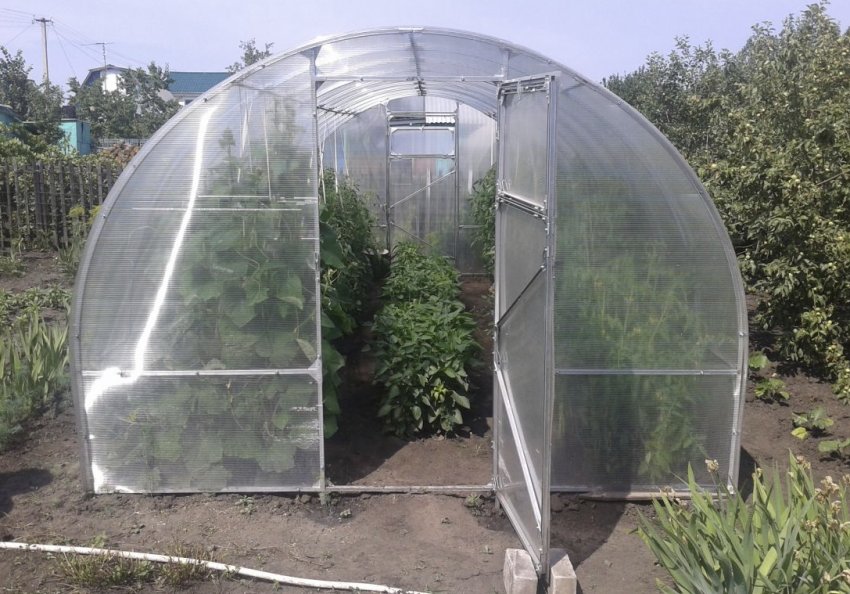 Теплиця Слава Теплиця Слава