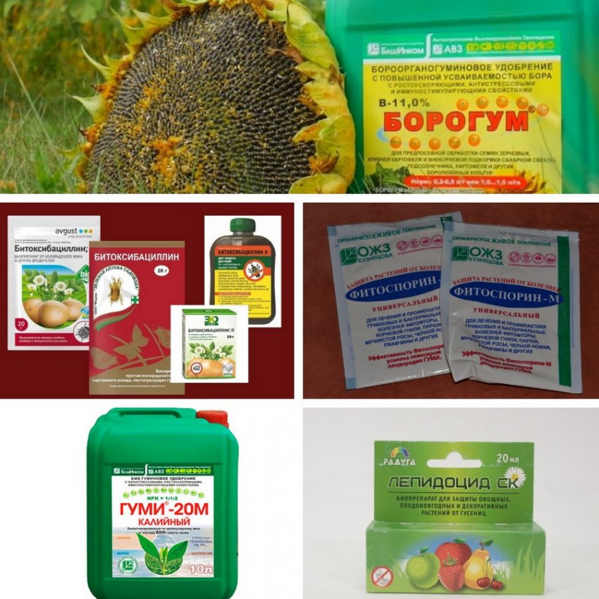 Біологічні препарати