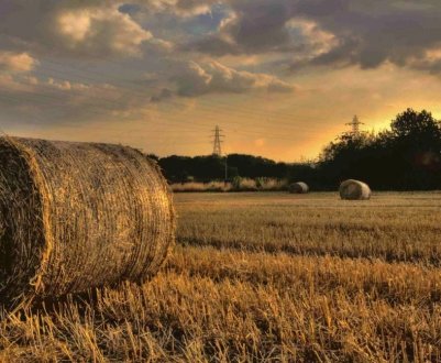 У Великобританії стартують консультації з питань оренди