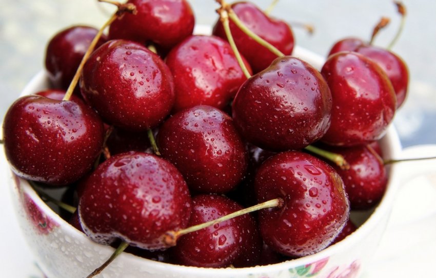 Черешня Василина Черешня Василина