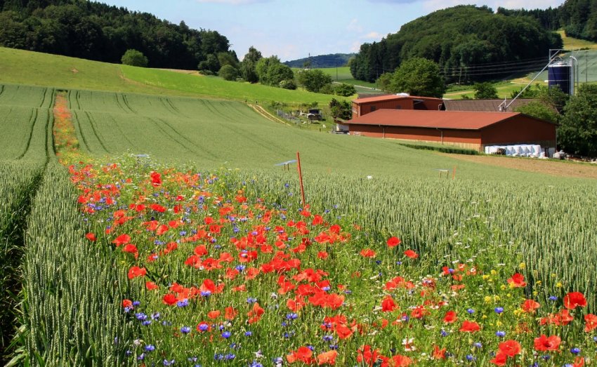 У Великобританії стартують консультації з питань оренди