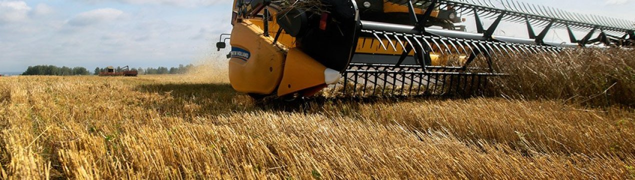 У США Національна спілка фермерів проти «катастрофічного» південної межі закриття