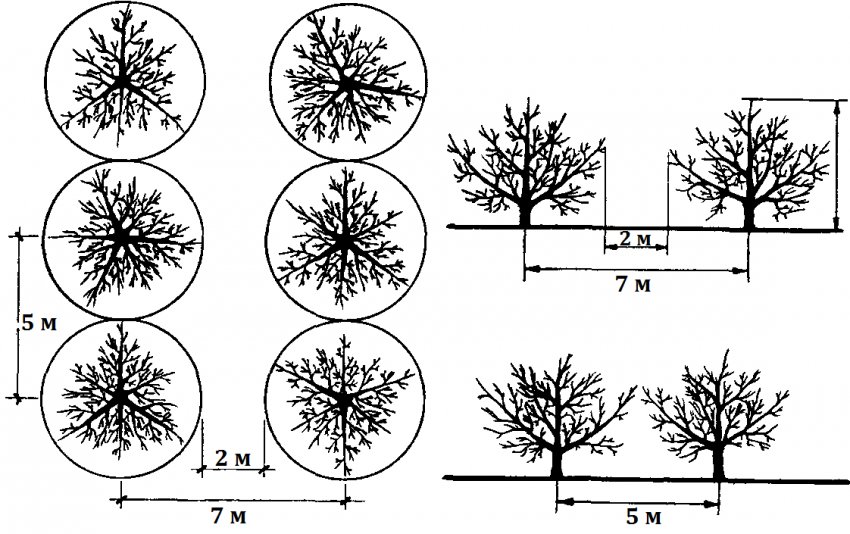 Схема змішаної посадки Схема змішаної посадки