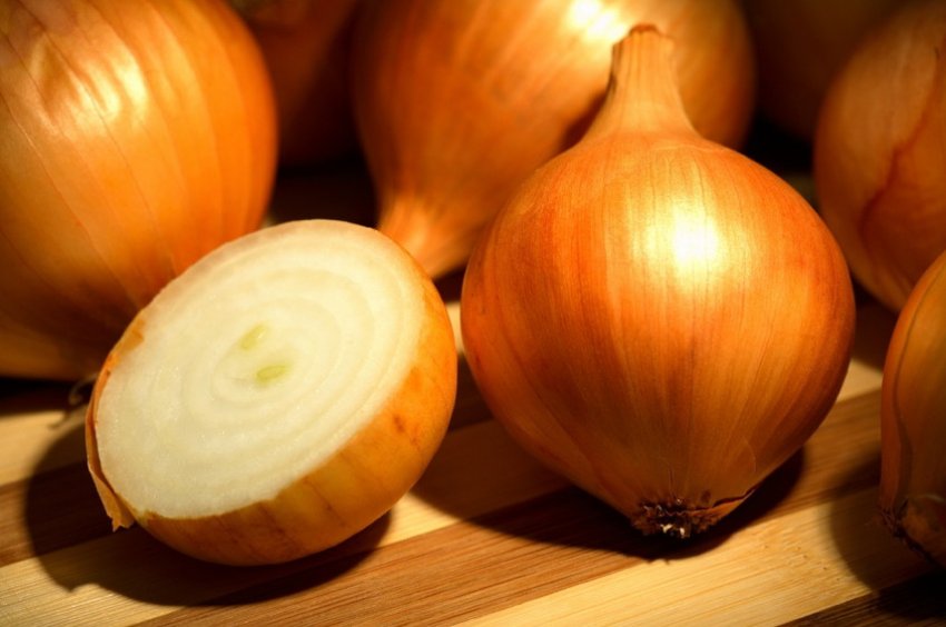 Цибулю сорту Золотистий Семко