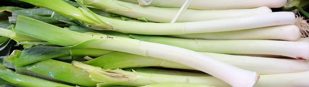 Особливості вирощування цибулі-порею і догляд в домашніх умовах