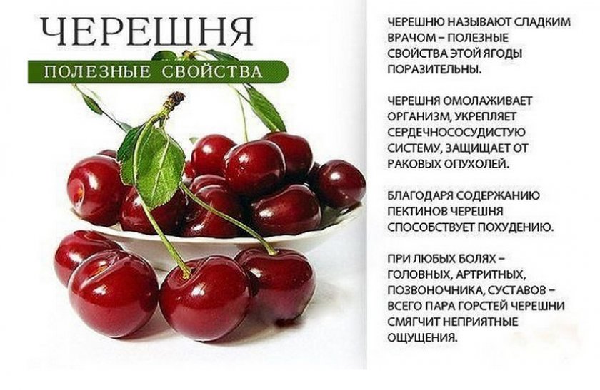 Полезные свойства черешни Полезные свойства черешни