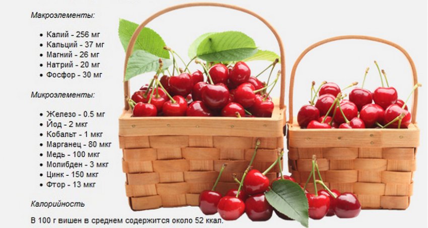 Мікроелементи і макроелементи які містяться в черешні