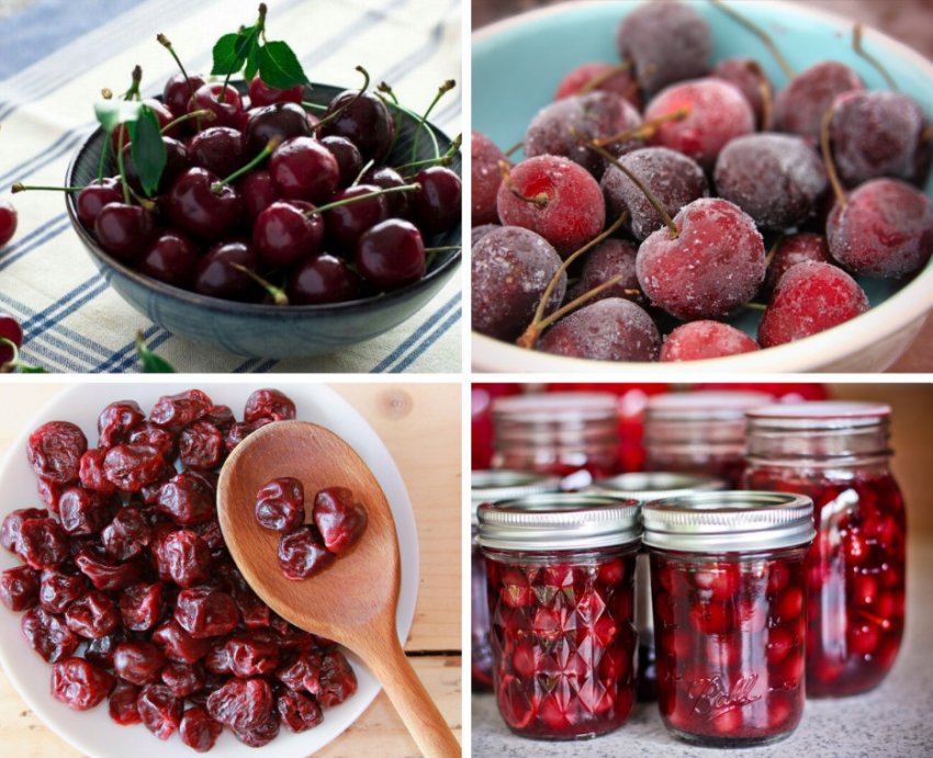 Способи зберігання черешні