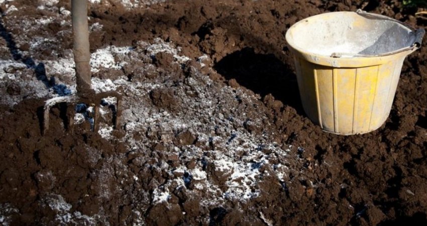 Вапнування грунту