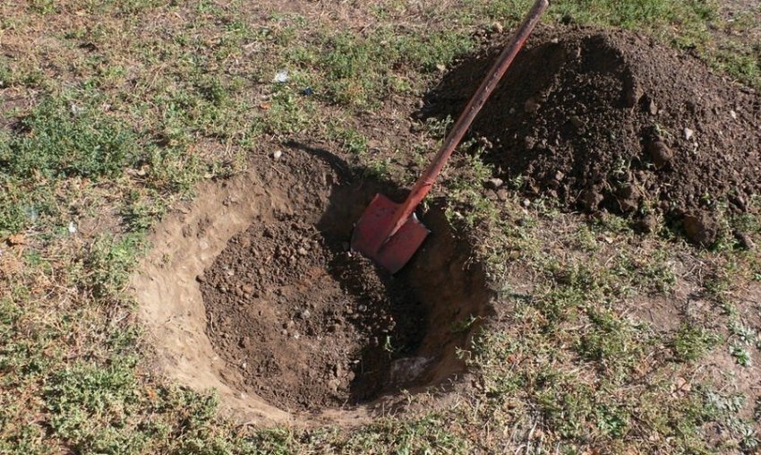 Підготовка ями для посадки Підготовка ями для посадки