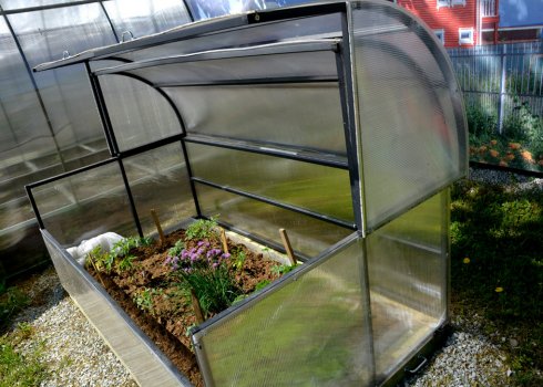 Парник «Равлик»: як вибрати або зробити своїми руками