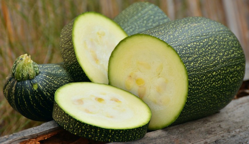 Кабачок Цукеша Кабачок Цукеша