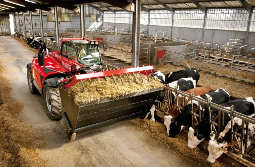 В Одеській області бандити знову пограбували сільгосппідприємство В Одеській області бандити знову пограбували сільгосппідприємство