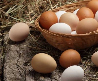 Компанія «Авангард» з Київської області експериментує з виробництвом органічних яєць