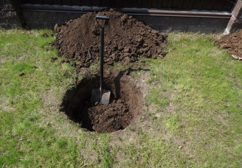 Викопування ями для посадки