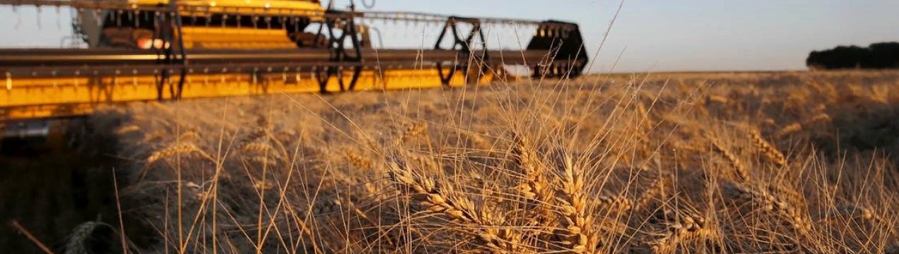 Українська компанія Grain Alliance розпочала посівні роботи