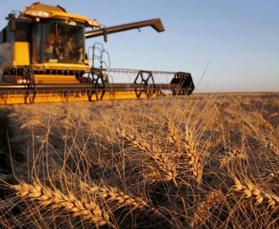 Українська компанія Grain Alliance розпочала посівні роботи