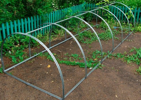 Особливості парника «Огірочок»