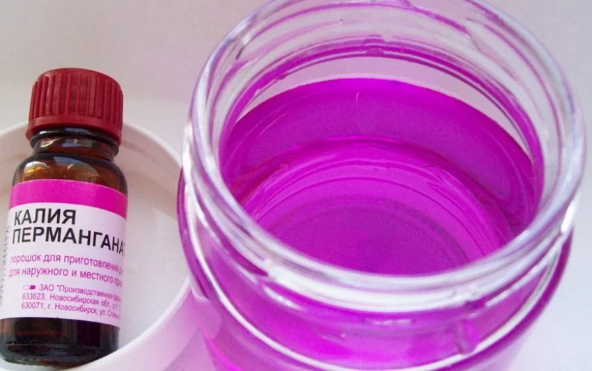 Знезараження насіння Знезараження насіння