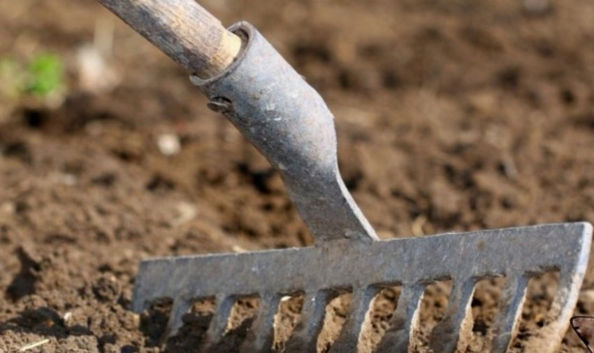 Розпушування грунту Розпушування грунту