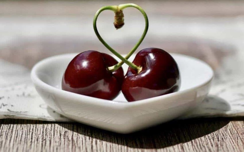 Черешня Веда