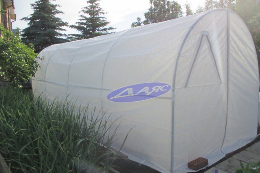 Парник від фірми Даяс Парник від фірми Даяс