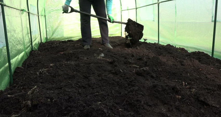 Обработка почвы в теплице перед посадкой. Грунт для теплицы. Грунт в теплице. Подготовка грунта в теплице. Теплица подготовка почвы.