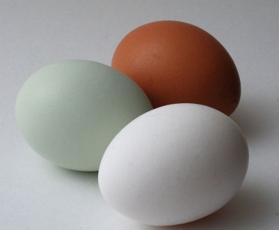 На ринках Луцька з'явилися зелені яйця курячі