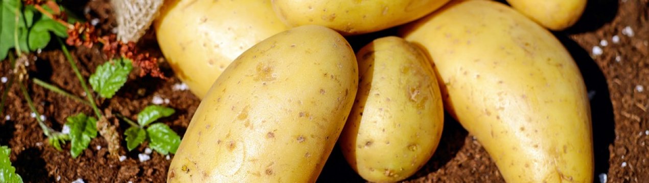 Картопля з Білорусі з'явився на українських ринках